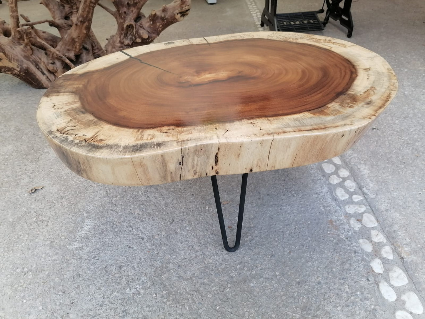 Mesa de Centro de Parota